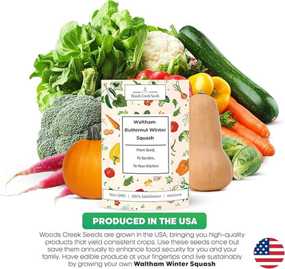 Woods Creek Seeds: Waltham Butternut Winter Squash Seeds for Planting - Over 75 Heirloom Non-GMO Butternut Squash Seeds for Planting Outdoors or Indoors - Beginner Friendly & High Yield Seed