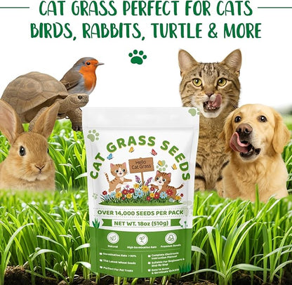 18oz Cat Grass Seeds Bulk - Over 14000+ Premium Cat Grass for Indoor Cats & Pets, High Germination Rate & Easy to Grow, Non-GMO Wheat Grass Seed for Planting(510g)