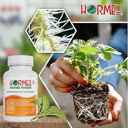 Hormex Rooting Powder #3 & Rooting Cubes Combo - Rooting Hormone for Semi-Softwood Cuttings & Organic Peat Moss Coco Plugs - Fast, Healthy Root Growth for Propagation, Hydroponics, & Seed Starting