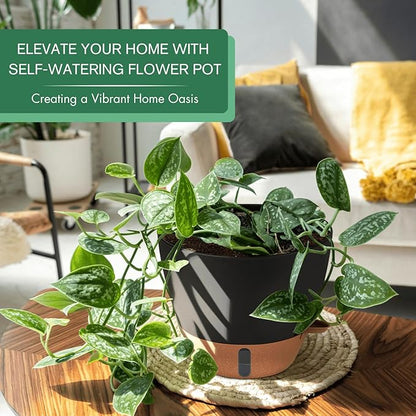 montresor 2 Pack 8 inch Plant Pots, PP Plastic Self Watering Plant Pot with Drainage and Tray for Indoor Outdoor Plants, Water Level Window & Reservoir Flower Pots Decorative Planter (Black)