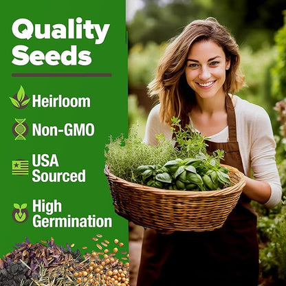 HOME GROWN 15 Herb Seeds for Planting 4,500+ Non-GMO Heirloom Seeds | Extra Large Variety Pack Herb Kit – Indoor Outdoor & Hydroponic | Culinary Seed Set | Grow Your Own Herbs | Gardening Gift