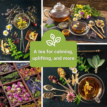 Sow Right Seeds - Herbal Tea Collection - Lemon Balm, Chamomile, Mint, Lavender, Echinacea Herb Seed for Planting; Non-GMO Heirloom Seed, Instructions to Plant Indoor or Outdoor; Gardening Gift