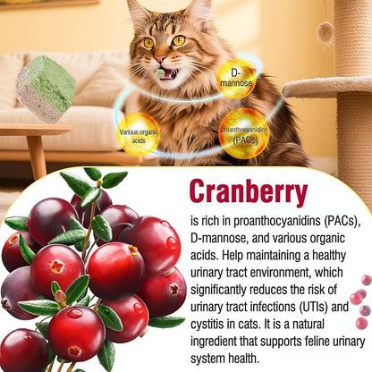 HavenJanny Freezed-Dried Cat Grass Treats, Catgrass Cranberry Duo Bites, Cat Dental Treats for Hairball Control and Urinary Tract Support, Cats Teething Stick (60g, Cranberry)
