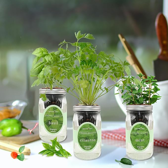 Hydroponic Herb Growing Kit Set, Self-Watering Mason Jar Herb Garden Starter Kit Indoor, Window Herbs Garden, Grow Your Own Herbs from Organic Seeds (Basil, Cilantro and Mint)