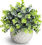 Hopewood Fake Plants Indoor Small Artificial Eucalyptus Plants in White Pots for Bedroom Home Decor Faux Plants Decor