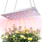 MetryGrow Plant Grow Light, [Smart APP & Expansive 2x3 Ft Coverage] Genuine 100W Output LED Full Spectrum for Indoor Plants, 8-Level Brightness, Hanging Use with Remote Control（Hanging Use）