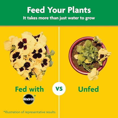 Miracle-Gro Water Soluble All Purpose Plant Food and Garden Feeder Bundle: Use on Flowers, Vegetables, Trees, and Houseplants