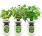 Hydroponic Herb Growing Kit Set, Self-Watering Mason Jar Herb Garden Starter Kit Indoor, Window Herbs Garden, Grow Your Own Plants from Organic Seeds (Basil, Parsley and Oregano)