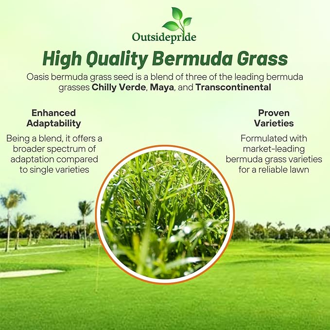 Outsidepride Oasis Bermuda Grass Seed - 5 lbs Warm Season, High Traffic, Heat Resistant, Drought-Tolerant, Low-Maintenance, Fast Growing Turf Grass for Lawn, Ideal for Sunny Areas, Thick Coverage