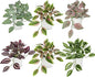 Hollyone Fake Plants 6 Pack Artificial Plants Indoor Faux Plant with White Plastic Pot Small Fake Potted Plant for Home Aesthetic Living Room Bathroom Desk Shelf Office Decor