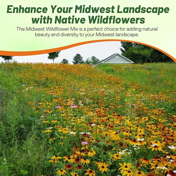 Outsidepride Midwest Wildflower Seed Mix - 5 Lbs Premium Blend of Annual & Perennial Native Wildflower Seeds for Midwestern States, Attracts Pollinators, Low-Maintenance, Ideal for Meadows & Gardens