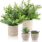 ALAGIRLS 4 Pack Small Fake Plants, 10" Artificial Plants Indoor Eucalyptus/Rosemary/Succulents, Small Faux Plants in Pulp Pot for Bathroom Bedroom Kitchen Office Living Room Decor
