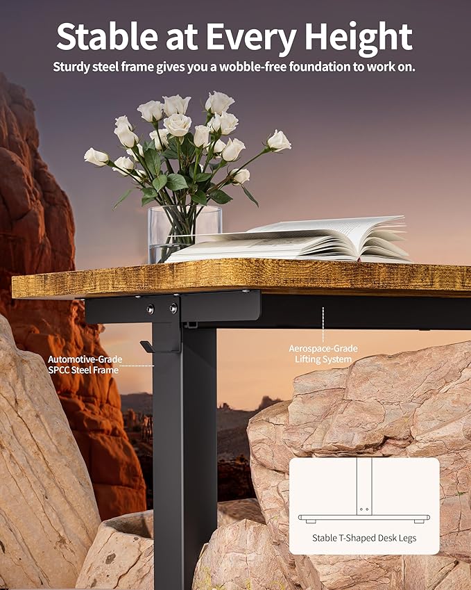 Standing Desk Electric Adjustable Computer Desk-Stand up Desk Office Gaming Home Office Memory Desks 48x24 inches Black Frame/Rustic Brown Top