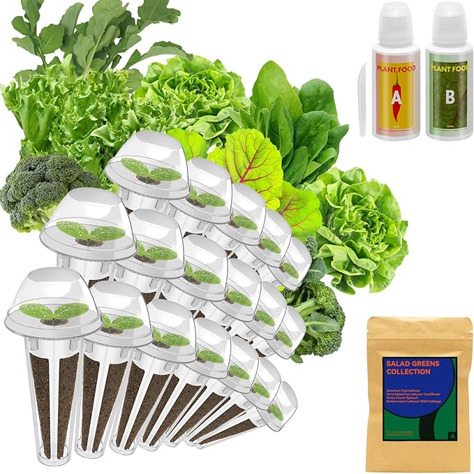 inbloom Salad Green Seed Pod Kit for AeroGarden, Ahopegarden, GARDENCUBE, MUFGA, 18 Pods (350+ Seeds with American Fast/Paris Island/Buttercrunch Lettuce, Swiss Chard, Spinach, Cauliflower, Cabbage)