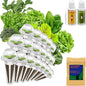 inbloom Salad Green Seed Pod Kit for AeroGarden, Ahopegarden, GARDENCUBE, MUFGA, 18 Pods (350+ Seeds with American Fast/Paris Island/Buttercrunch Lettuce, Swiss Chard, Spinach, Cauliflower, Cabbage)