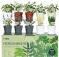 10 Indoor Herb Garden Kit, 33pcs Complete Kitchen Herb Starter Set Including 4-Color Pots, Soil & Tools, Unique Gift Ideas for Plant Lovers, Women, Men, Mom, Friend, Birthday, Housewarming, Christmas