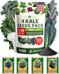 HOME GROWN Heirloom Vegetable Seeds Vegetable Seeds for Planting Home Garden, Beans, Carrots, Peppers, Cucumber, Kale, Pepper Seeds, Tomato (4 Kale)