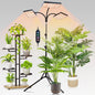 FECiDA 2026 3Head Grow Light with Stand, 75 Watt Power Draw, Bright and Big Coverage Grow Lights for Large Houseplants, Bonsai Tree, 4/8/12/16/20 Hr Timer, 24"-72" Height Adjustable, 360° Gooseneck