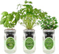 Hydroponic Herb Growing Kit Set, Self-Watering Mason Jar Herb Garden Starter Kit Indoor, Window Herbs Garden, Grow Your Own Herbs from Organic Seeds (Basil, Cilantro and Mint)