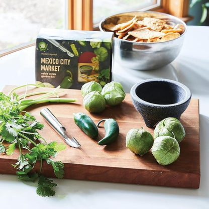 Modern Sprout Travel Trio Mexico City Market; Travel-Inspired Seed Kit with Jalapeno Deseeder, Organic Seed Starting; Gardening Gift (Mexico City Market)