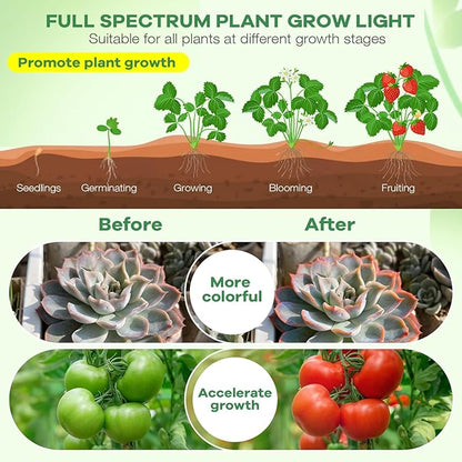 Led Grow Lights, 2 Heads Full Spectrum Plant Light with Clamp for Indoor Plants & Seed Starting, 10-Level Dimmable, Auto On Off, Timing 3 9 12Hrs