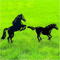 Horse Metal Decorative Garden Stakes Horse Gifts for Women/Men Horse Lovers Gifts Silhouette Statues for Yard Art, Outside, Patio, Outdoor Decor, Garden Decorations, Lawn Ornaments