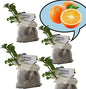 Orange Mint Plants. Share/Gift for Family and Friends. Live, Fragrant, Fresh, Edible. Easy Grow. Indoor/Outdoor. (4 Mint sac)