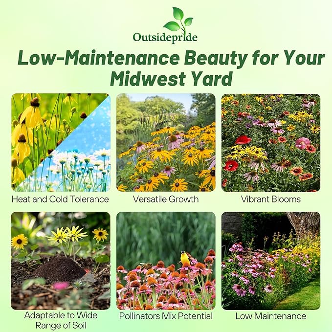 Outsidepride Midwest Wildflower Seed Mix - 5 Lbs Premium Blend of Annual & Perennial Native Wildflower Seeds for Midwestern States, Attracts Pollinators, Low-Maintenance, Ideal for Meadows & Gardens