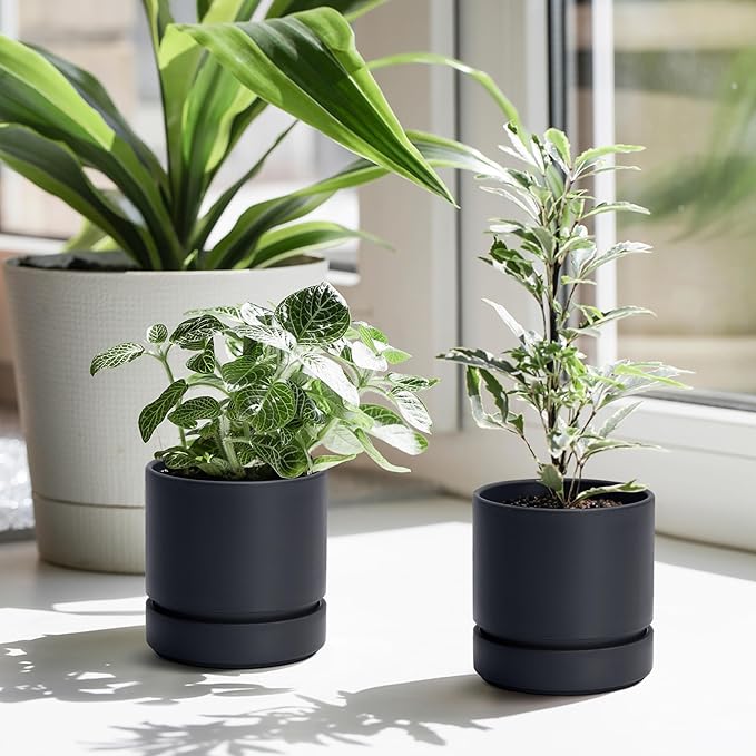Phoenix Vine 4 Inch Planter Pot with Drainage Hole & Saucer, Deep Water Catch Tray, Straight Cylindrical Round Pot for Plants, Matte Black, Pack of 2, 23-C-R-2