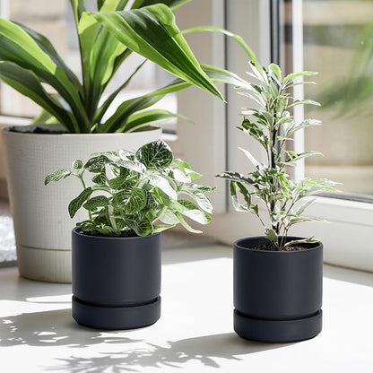 Phoenix Vine 4 Inch Planter Pot with Drainage Hole & Saucer, Deep Water Catch Tray, Straight Cylindrical Round Pot for Plants, Matte Black, Pack of 2, 23-C-R-2
