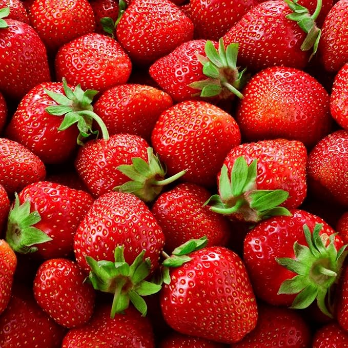 Red Sparkle Strawberry Plants - Fruit Very Firm, Sweet, High Yields (20 Plants)