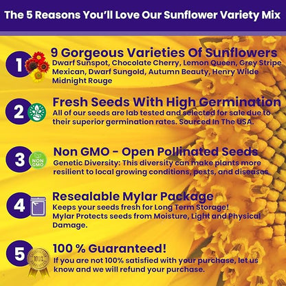 NatureZ Edge 5200+ Sunflower Seeds for Planting Bulk Variety Pack, Get More Sunflower Seeds to Plant, from Dwarf Sunflowers to Giant Sunflower Seeds, Includes Mammoth Sunflower Seeds, Non-GMO