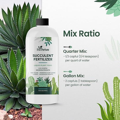 16oz Succulent Fertilizer - Makes 32 Gallons of Succulent Plant Food for Succulents Plants Live, Liquid Fertilizer for Succulents - Promotes Vibrant Leaves, Resilient Roots, and Plump Growth