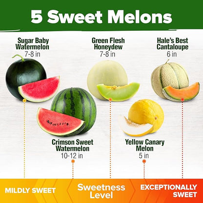HOME GROWN Melon Seeds Variety Pack 5 Heirloom Vegetable Seeds, Watermelon Cantaloupe Honeydew Sugar Baby & Melon, High Germination for Planting Home Garden Indoors