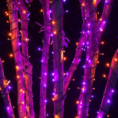 Dazzle Bright 2 Pack Total 400LED 132FT Halloween Solar String Outdoor Lights, 8 Modes Waterproof Halloween Lights for Bedroom Patio Garden Tree Party Yard Decoration (Purple & Orange)