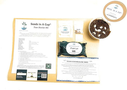Apricot Tree | Seed Starter Grow Kit | Seeds In A Cup®