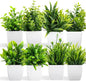 LELEE Artificial Plants Mini Fake Potted Plants, 8 pcs Small Eucalyptus Potted Faux Decorative Grass Plant with White Pot for Home Decor, Indoor, Office, Desk, Shelf, Table Decoration