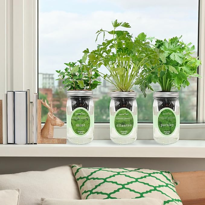 Hydroponic Herb Growing Kit Set, Self-Watering Mason Jar Herb Garden Starter Kit Indoor, Windowsill Herbs Garden, Grow Your Own Herbs from Organic Seeds (Mint, Cilantro and Parsley)