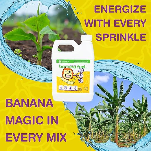Wellspring Gardens Banana Fuel Liquid Fertilizer - Plant Fertilizer Concentrate - Plant Food - Formula for Banana Trees & Plants - Grow Healthy and Happy Plants - 32 fl oz