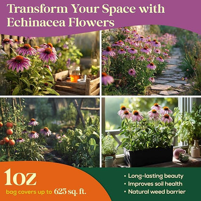 Echinacea Seed Pack 1 oz - 9,300 Non-GMO Heirloom Echinacea Seeds for Planting, Perennial Flowers in Waterproof Seed Packet, Coneflower Seeds for Planting Garden Indoor & Outdoor Gardening