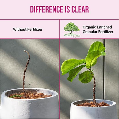 Eden Rose & Flower Organic Enriched Fertilizer | Neem Plant Food-7-5-3 Enriched Formula | for Best Flower Growth (5lbs)
