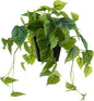 Artificial Scindapsus Aureus, Realistic Fake Plant with Plastic Pot for Home Office Garden Decoration 1 Pack(8in H)