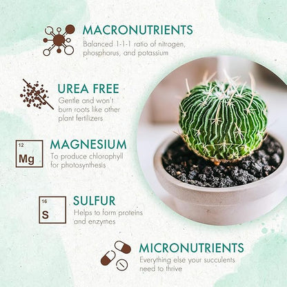 The Grow Co Succulents & Cactus Plant Food - Gentle Long Lasting Formula, Slow Release Fertilizer (Liquid Alternative) for All Potted Succulent, Cacti & Aloe Vera Plants (5 oz)