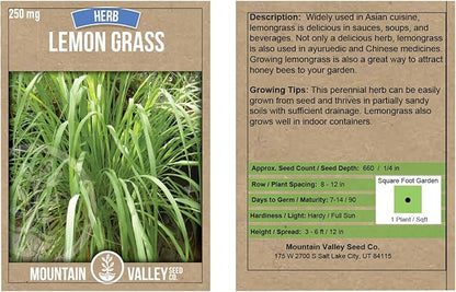 Lemon Grass Seeds for Planting Outdoor - 250 Mg Packet - Non-GMO, Heirloom Culinary Herb Garden Lemongrass Seeds - Cymbopogon citratus