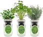 Hydroponic Growing Kit Set, Self-Watering Mason Jar Herb Garden Starter Kit Indoor, Window Herb Garden, Grow Your Own Herbs from Organic Seeds (Mint, Cilantro and Thyme)