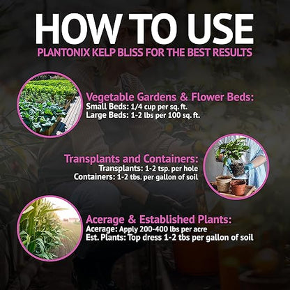 Kelp Bliss (5lbs) - Kelp Meal Organic Fertilizer for Plants, Garden Soil, Flowers, Vegetables, & Lawns - Organic Kelp Fertilizer & Soil Amendment - 100% Natural Plant Food Rich in Vitamins & Nutrients