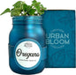 Hydroponic Herb Growing Kits - Fresh Oregano - Indoor Garden System in a Mason Jar - Herb Garden Kit for an Indoor Greenhouse - Indoor Plant Hydroponic Growing System w/Fresh Herb Seeds