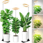 LBW Grow Lights for Indoor Plants, 6.3" Full Spectrum Plant Light with Base, 65" Height Adjustable Grow Lamp, 6/8/12/16H Timer, 3 Color, 5 Dimmable Level, for Tall Large Plants, Bamboo Grain, 3 Pack