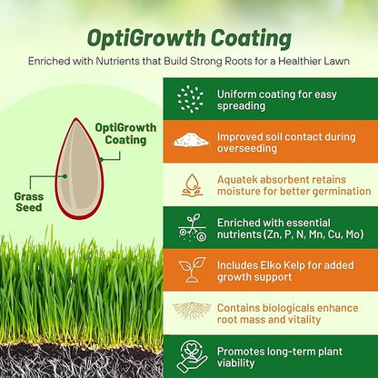 Outsidepride Combat Extreme Southern Zone Grass Seeds for Lawn - 5 lbs. SPF 30 Heat & Drought Tolerant Mix of Turf Type Fescue & Hybrid Bluegrass Seed with OptiGrowth Coating Enhanced Germination