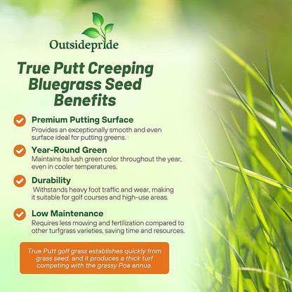 Outsidepride True Putt Perennial Creeping Bluegrass Seed - 1 Lb. Shade-Tolerant Bluegrass for Golf Courses & Home Putting Greens - Ideal for Dense, Fine-Textured Lush Turf in Low-Light Areas